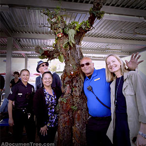 Treeman with Venice BID